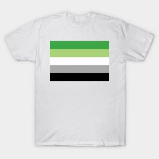 Aromantic Pride Flag T-Shirt